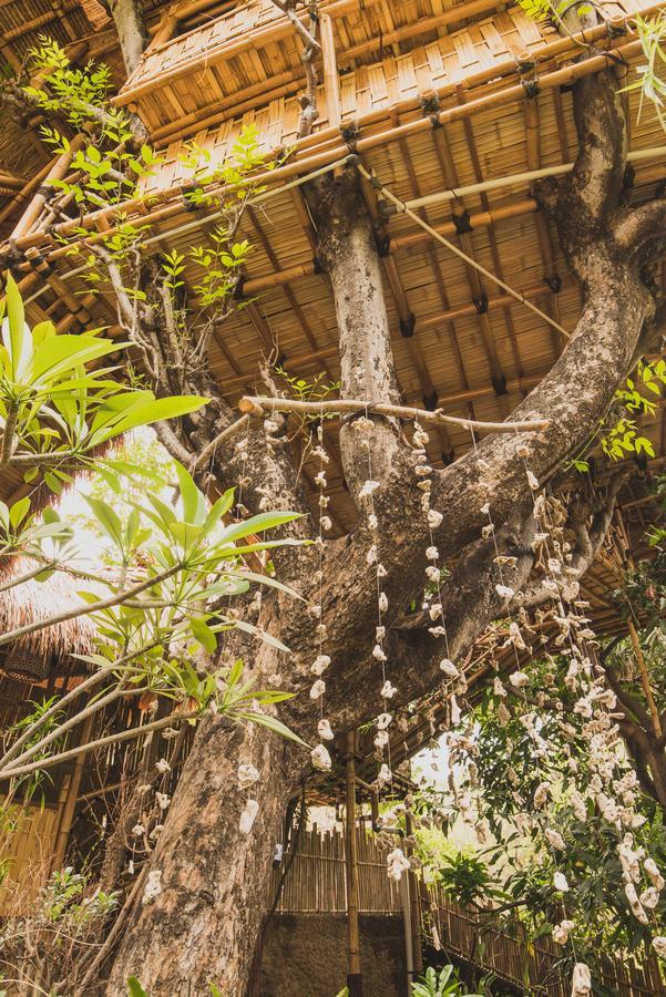 Hotel Eco Tree House Amed Bali Exterior foto